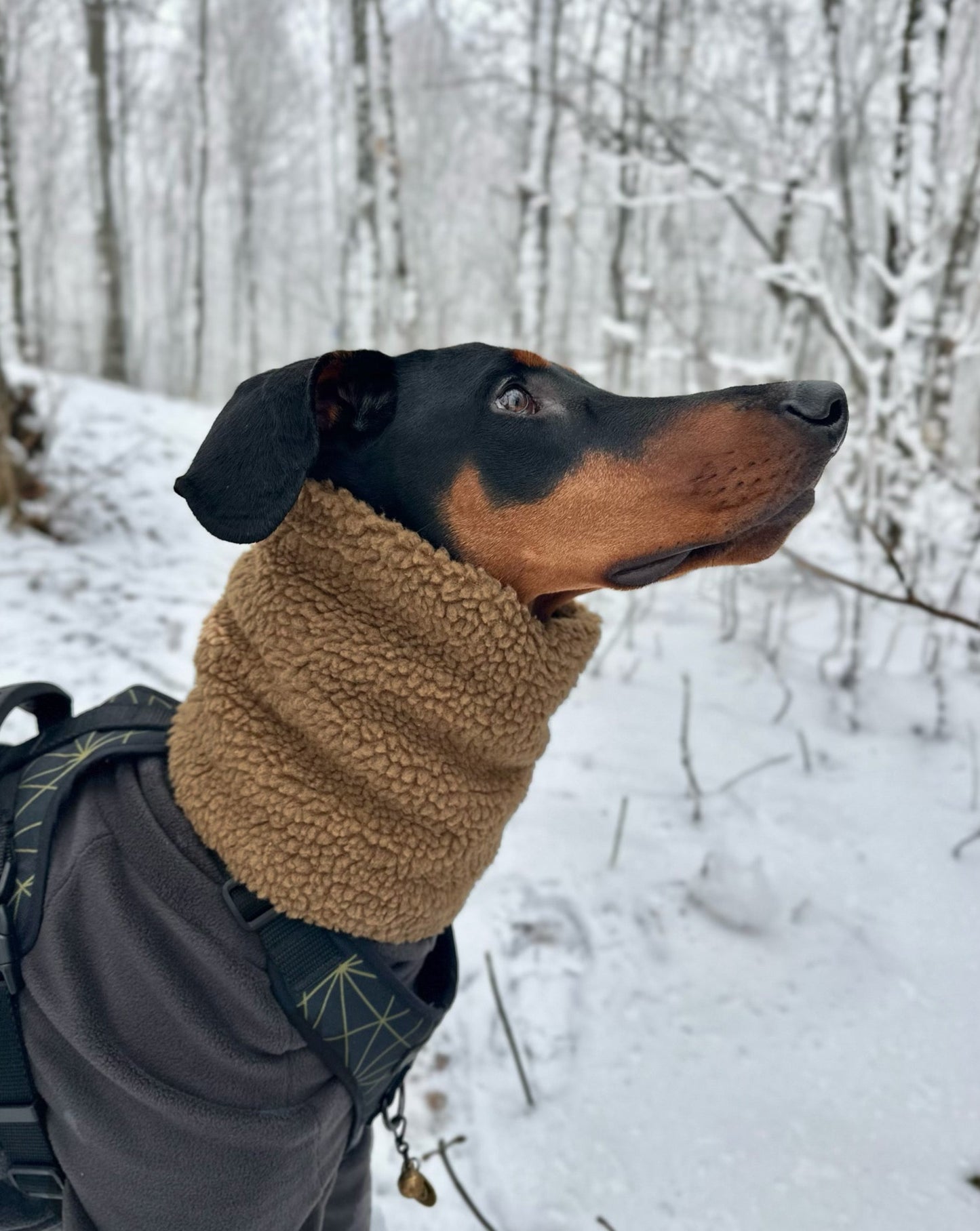 Sherpa snood