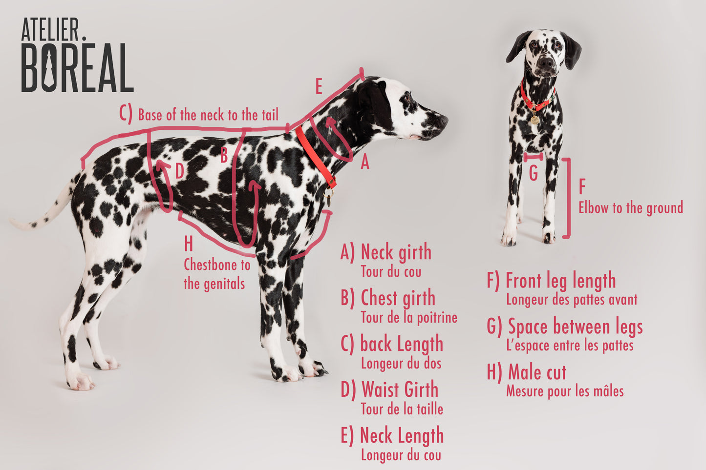 Made to measure sherpa for cats or dogs.