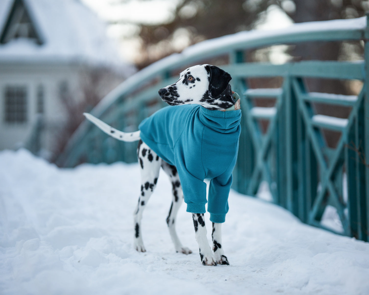 Made to measure coton sweater with fleece