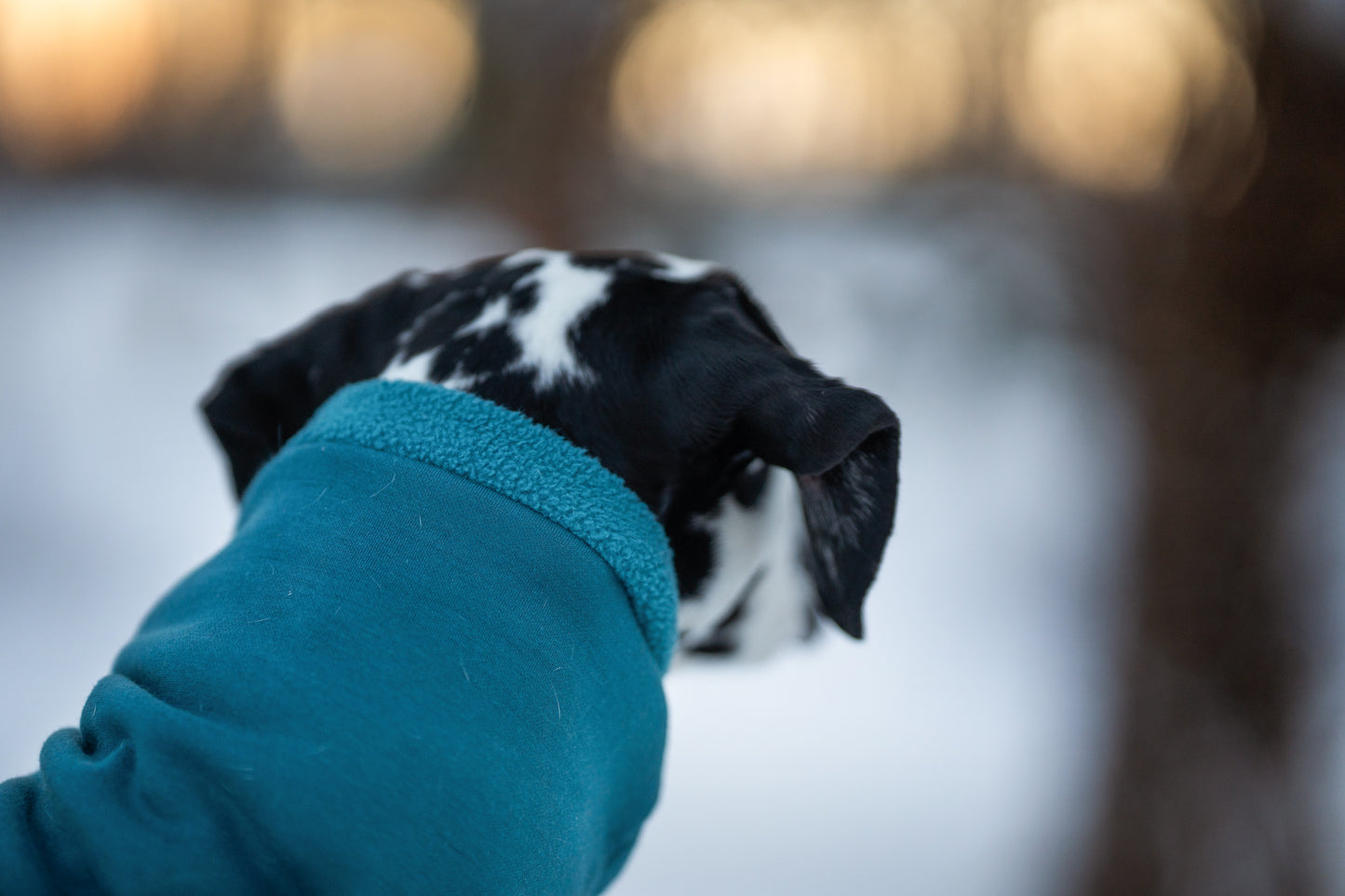 Made to measure coton sweater with fleece