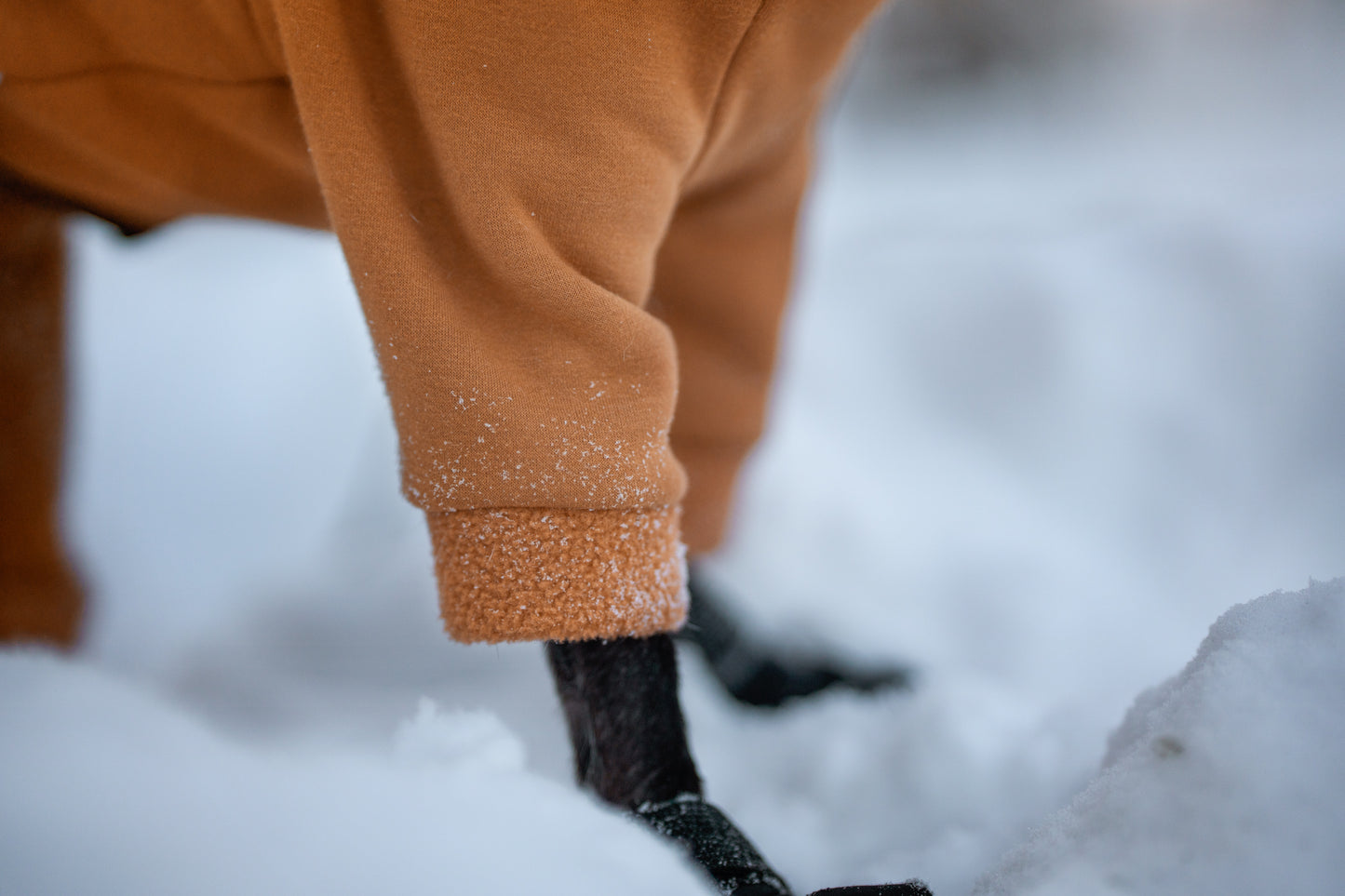 Made to measure coton sweater with fleece
