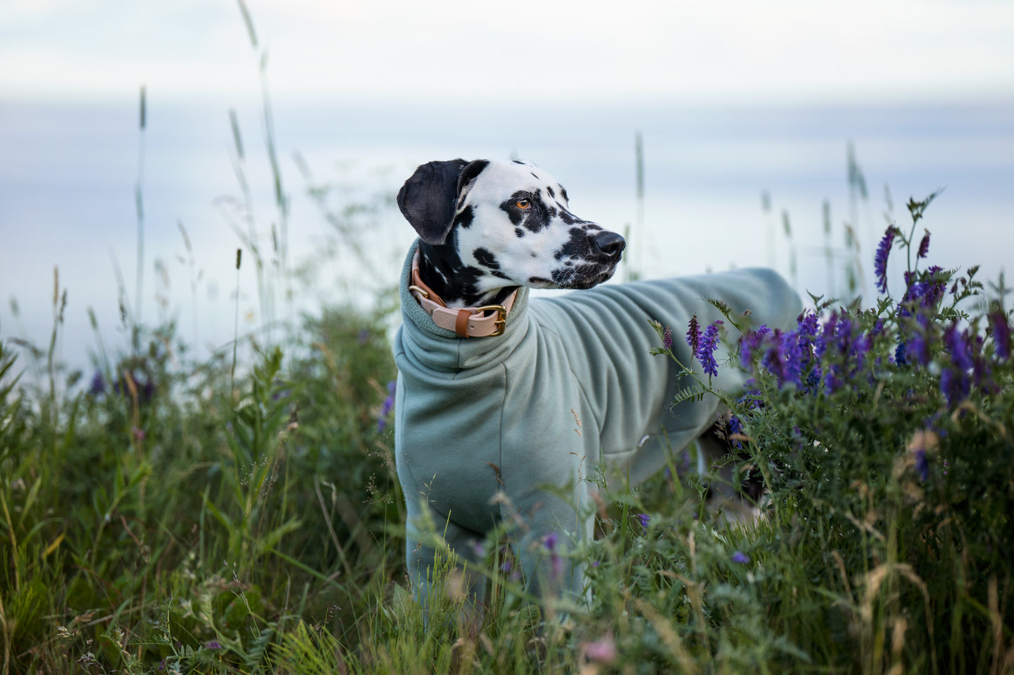 Made to measure coton sweater with fleece