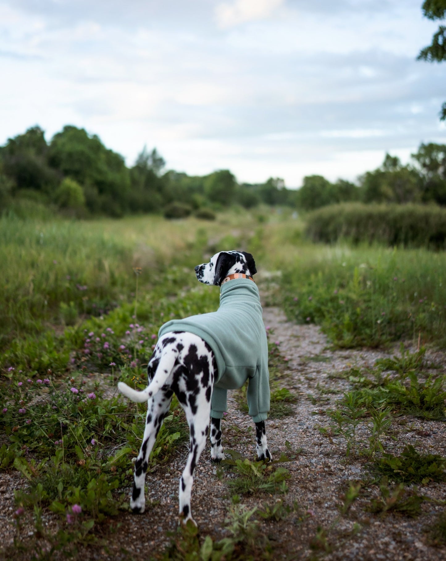 Made to measure coton sweater with fleece