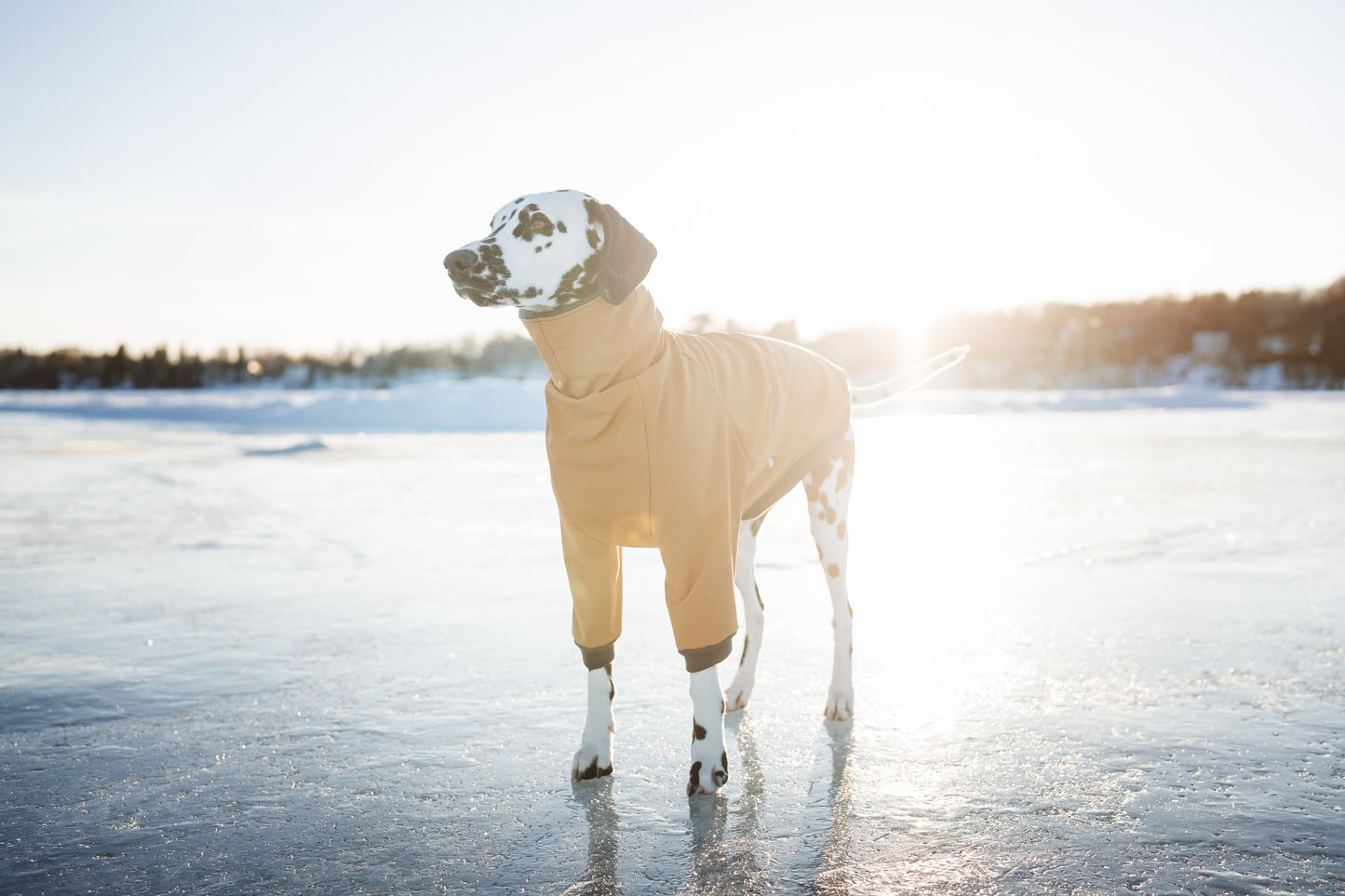 Spring coat in soft shell