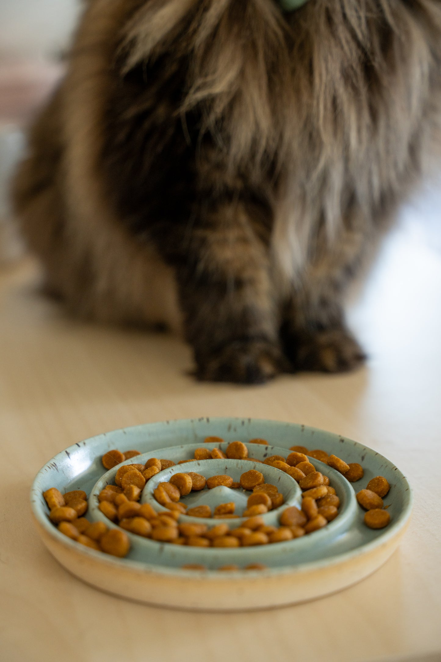 Cat Slowfeeder