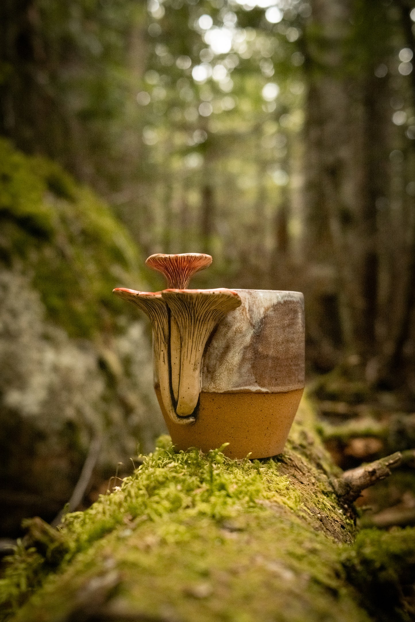 Mushroom cups 15oz
