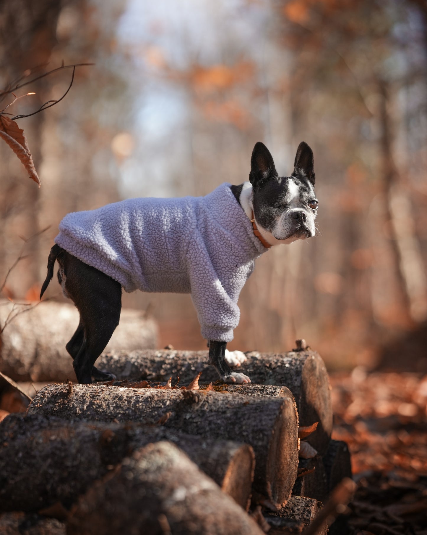 Made to measure sherpa for cats or dogs.