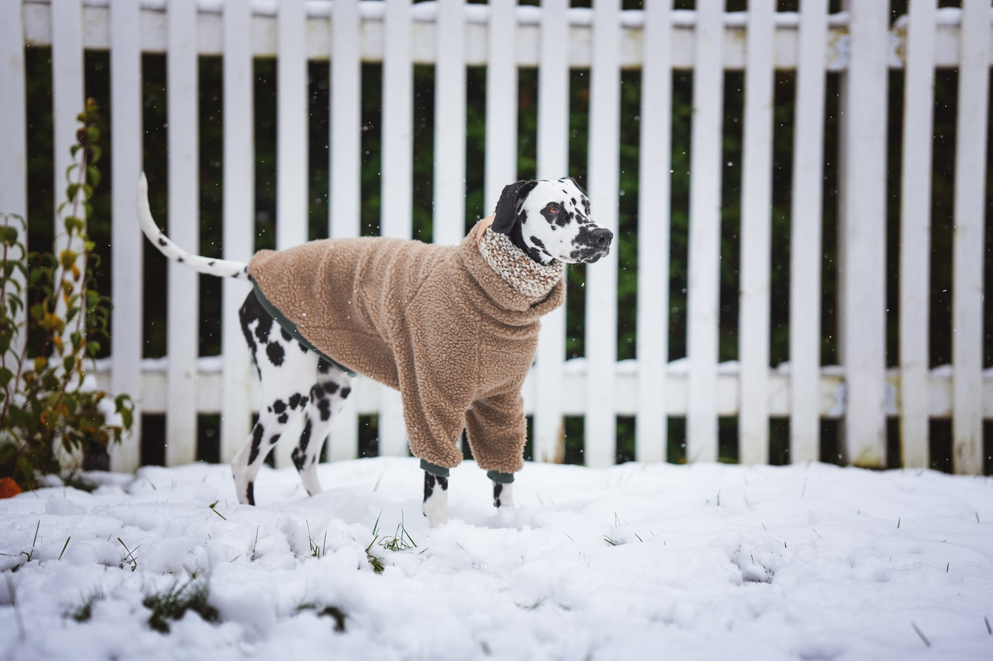 Made to measure sherpa for cats or dogs.