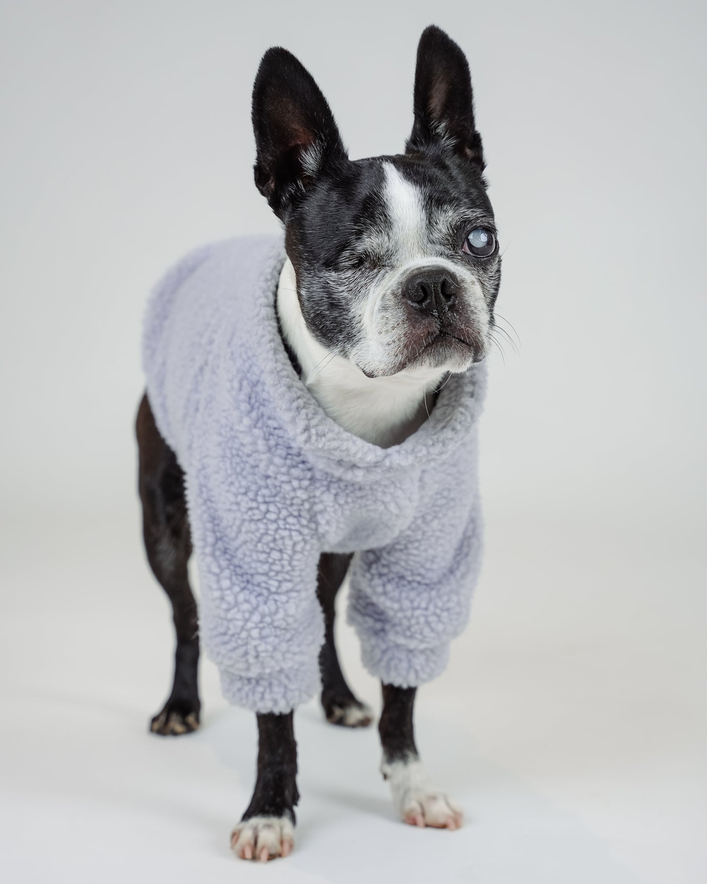 Made to measure sherpa for cats or dogs.