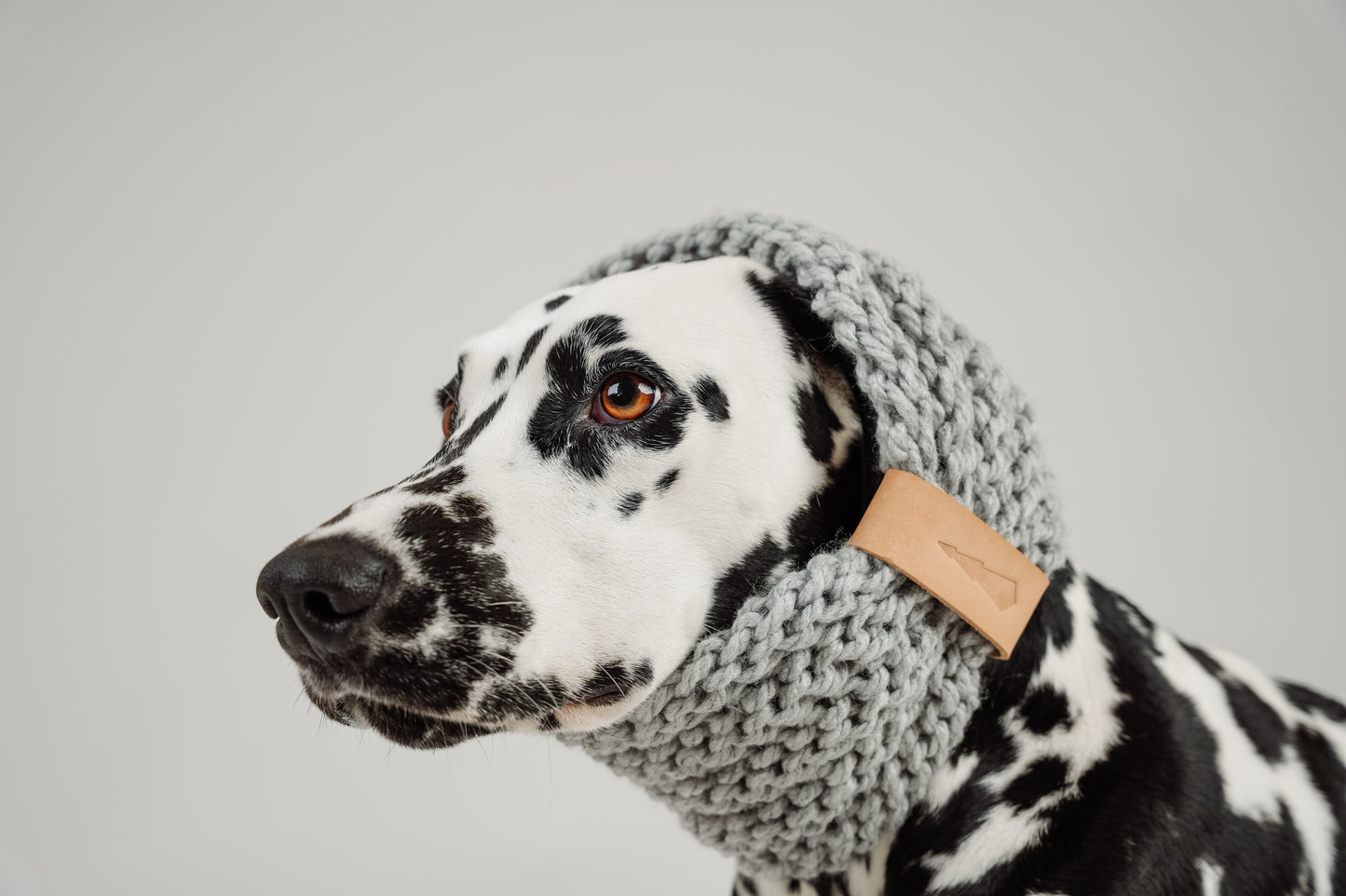 Snood en tricot pour chien