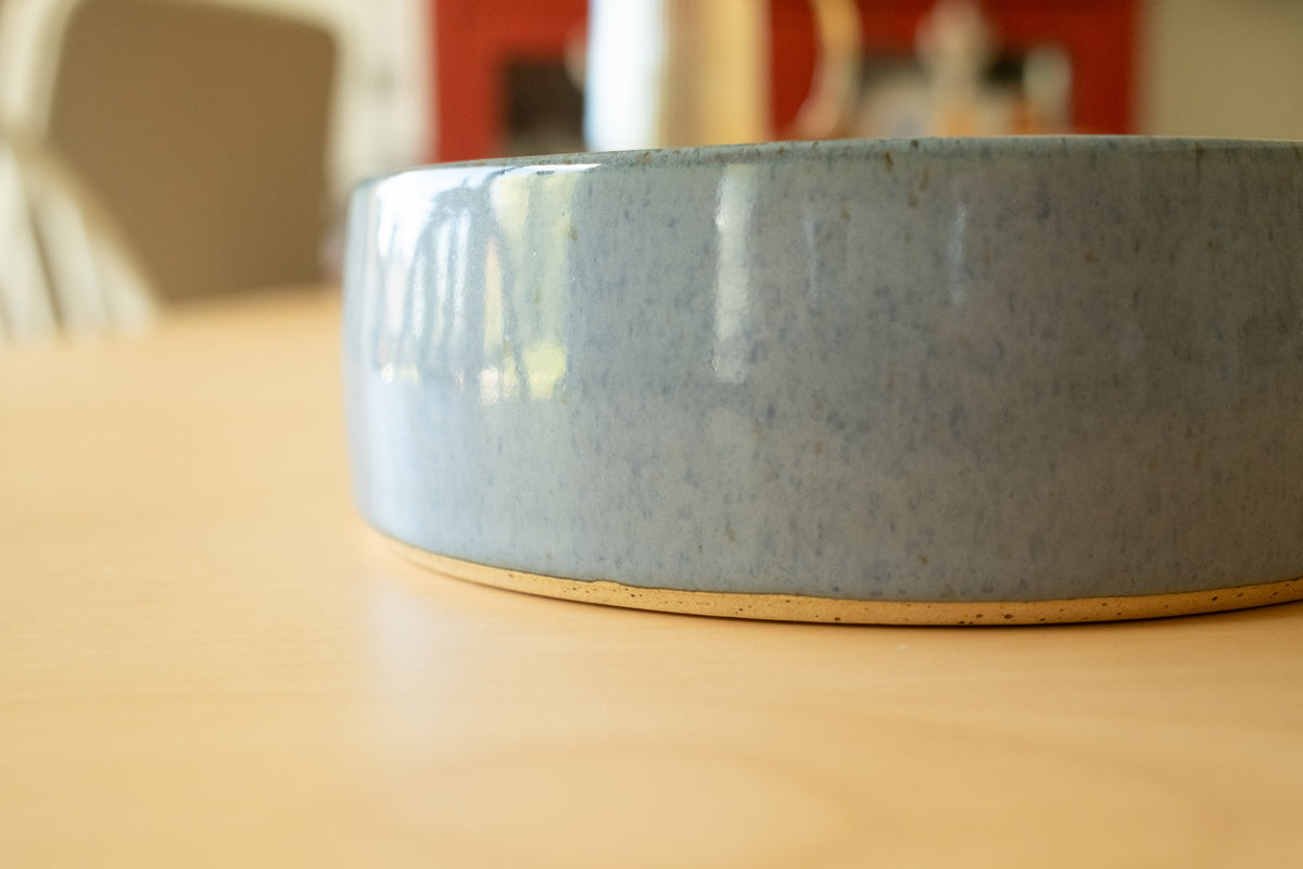 Ceramic bowl for animals
