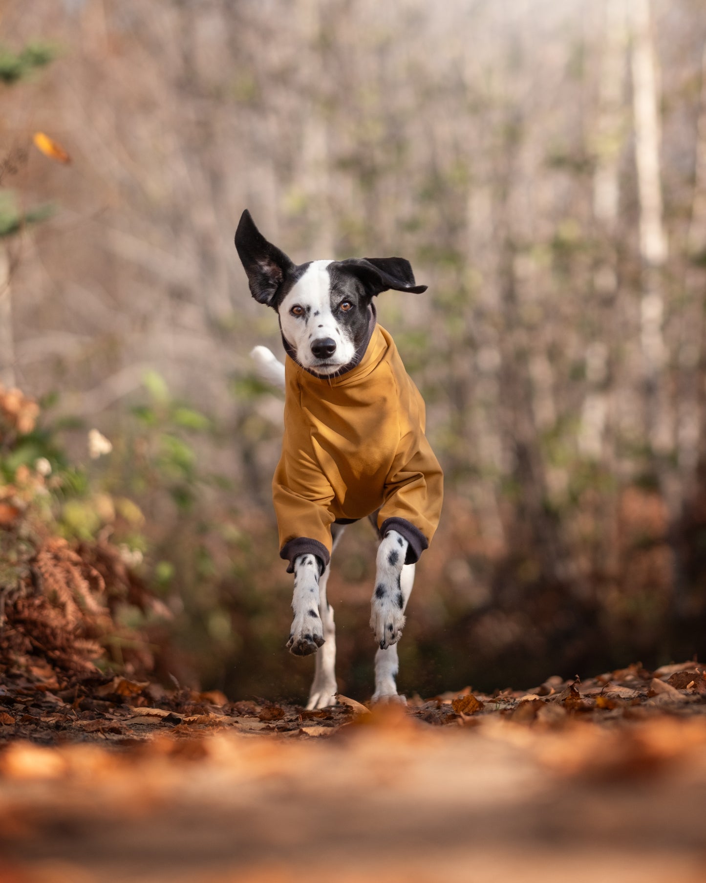 Softshell jaune sur mesure