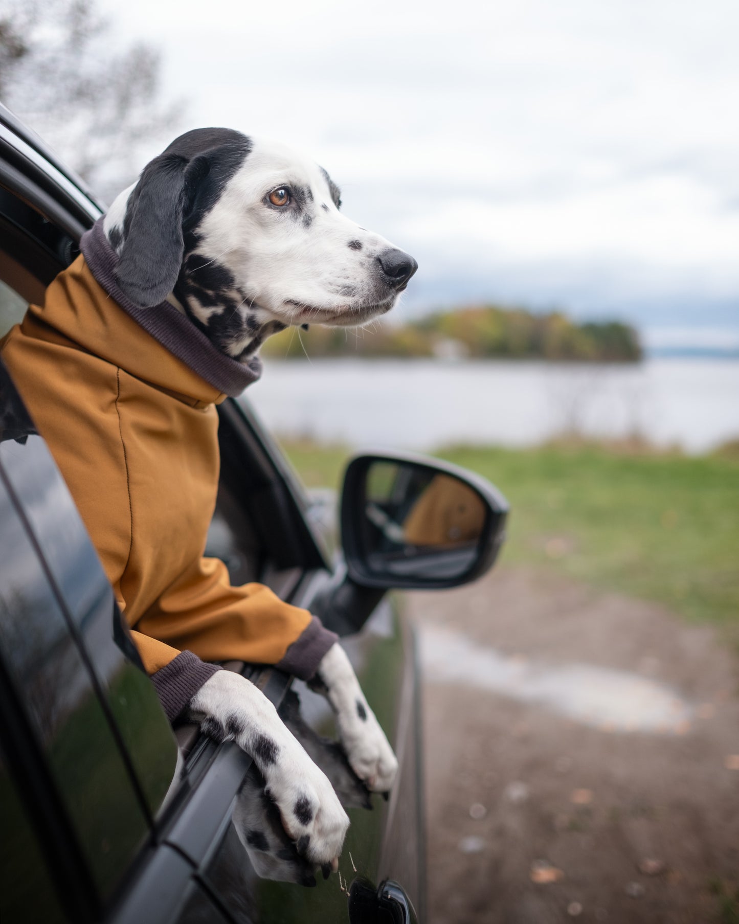 Softshell jaune sur mesure