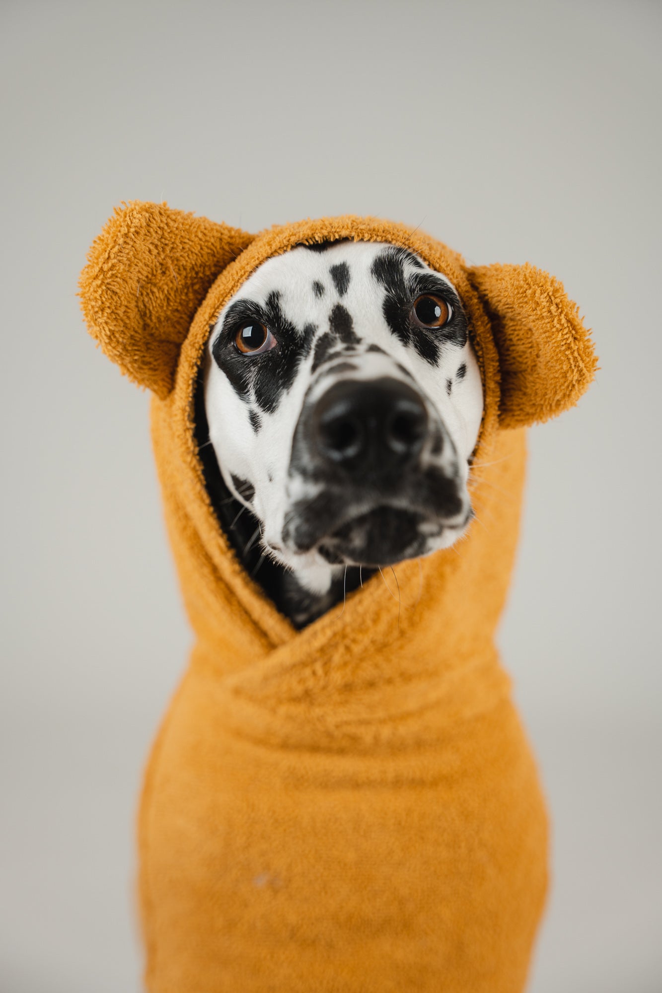 Bathrobe