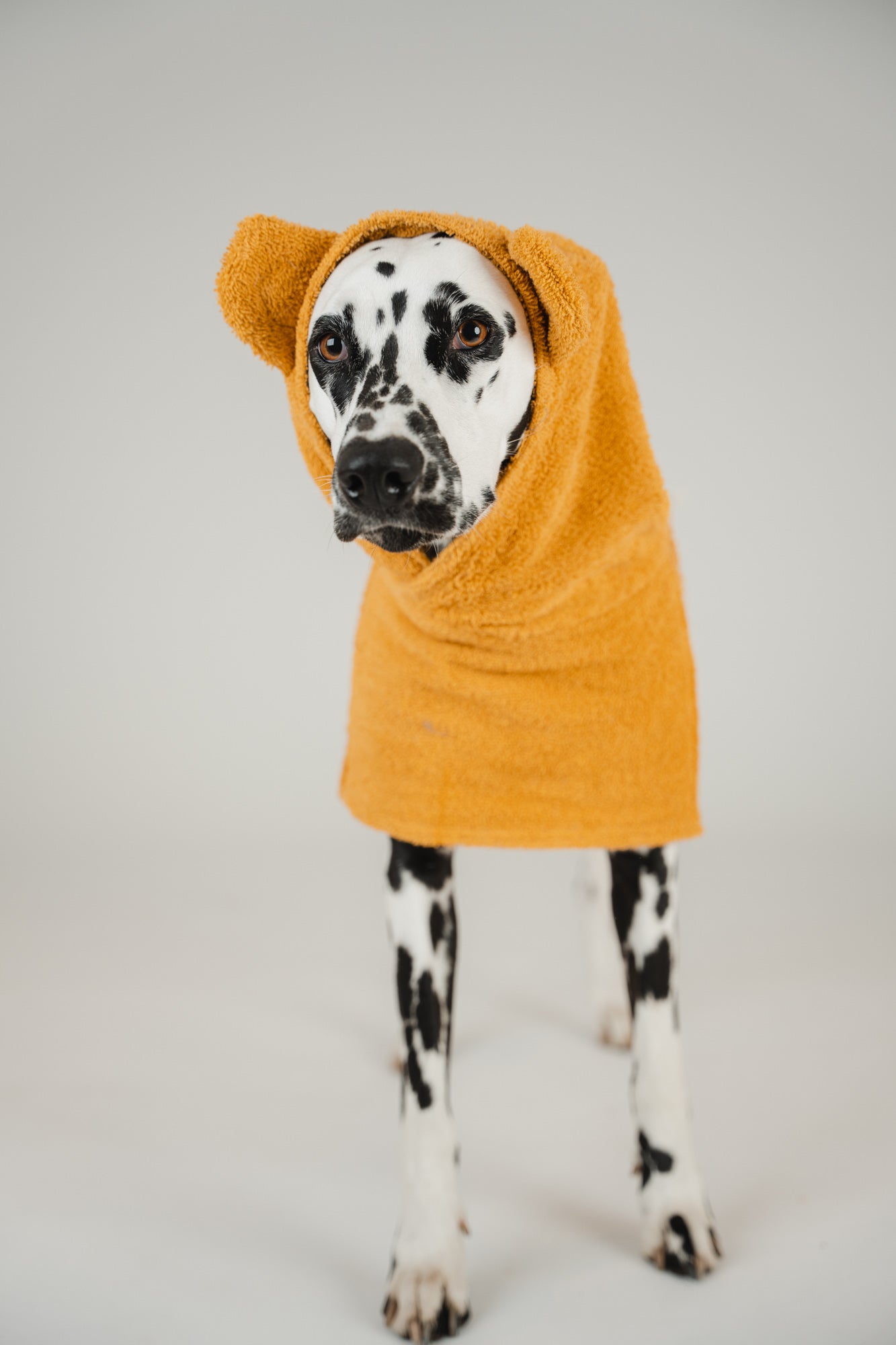Bathrobe