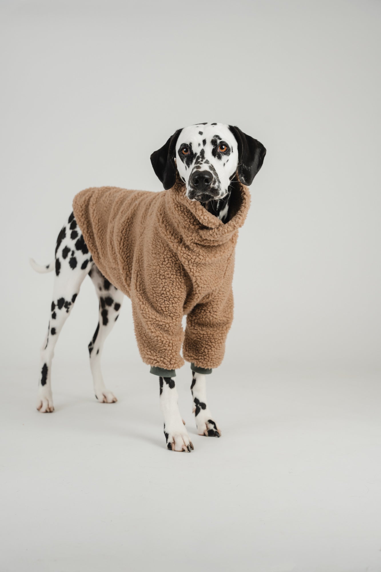 Made to measure sherpa for cats or dogs.