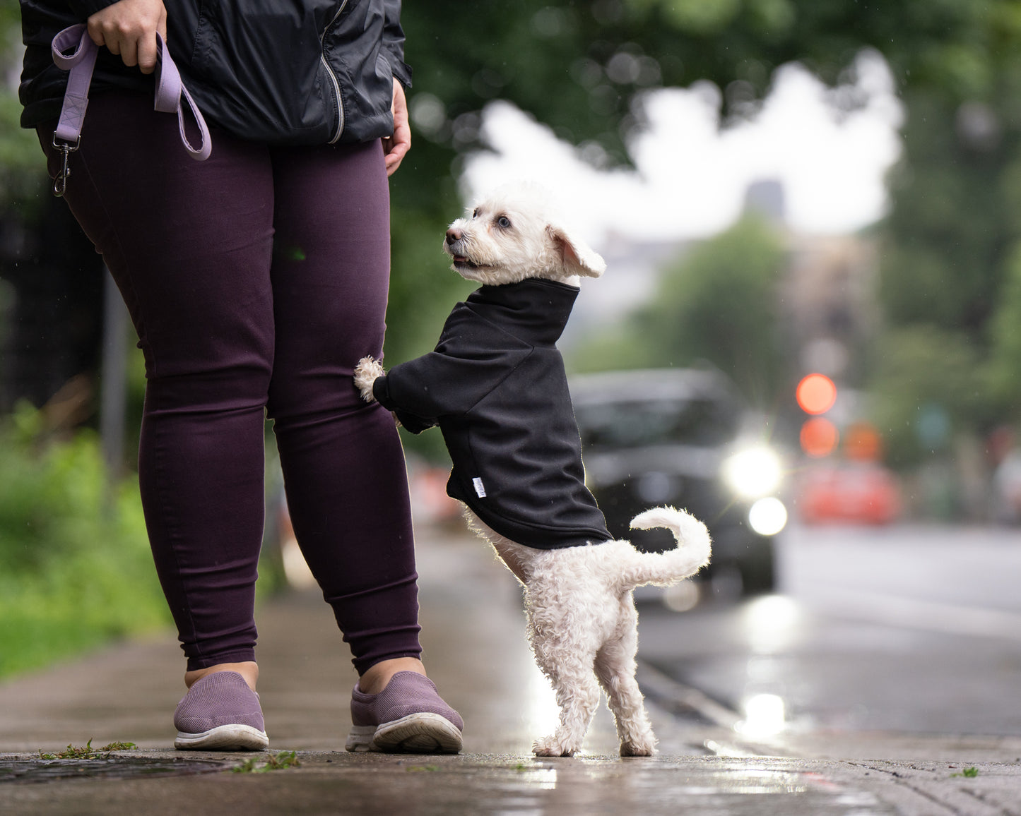 Spring coat in soft shell