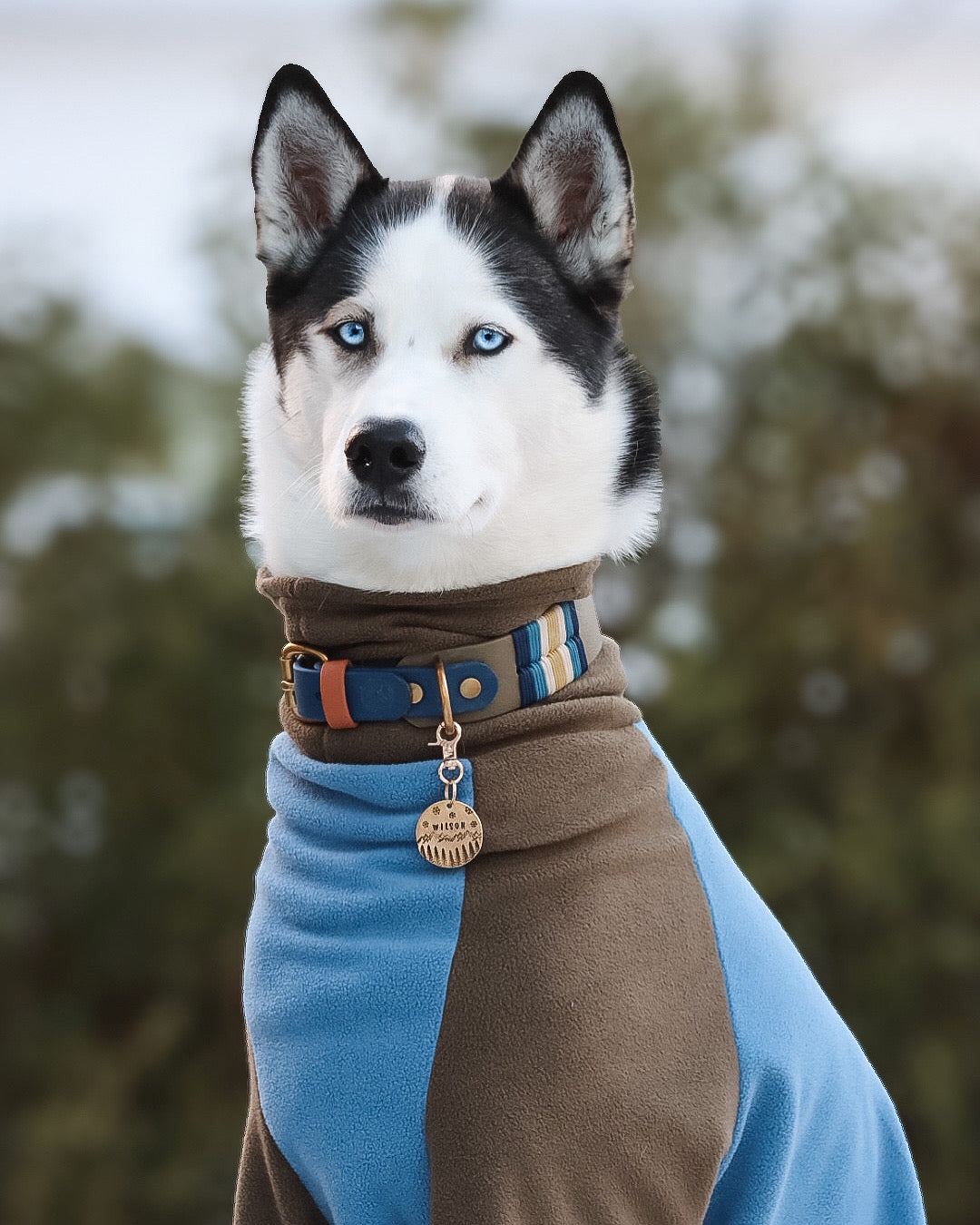 Made to measure sweater fleece for cats or dogs.