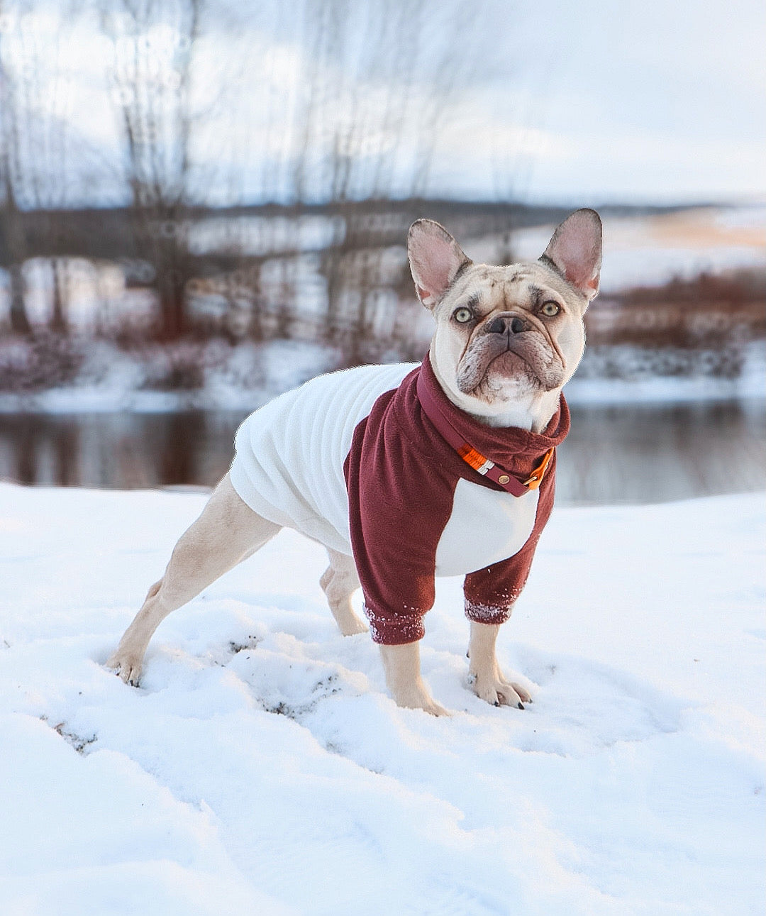 Made to measure sweater fleece for cats or dogs.