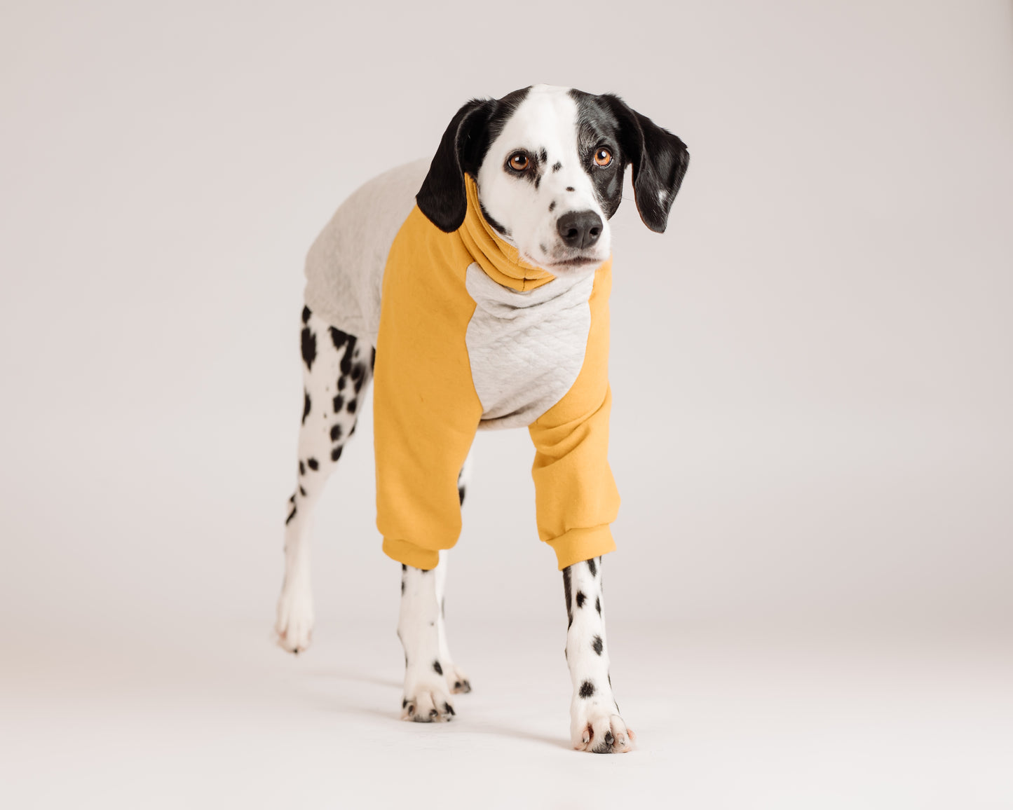 Made to measure sweater cotton sweater with grey quilted