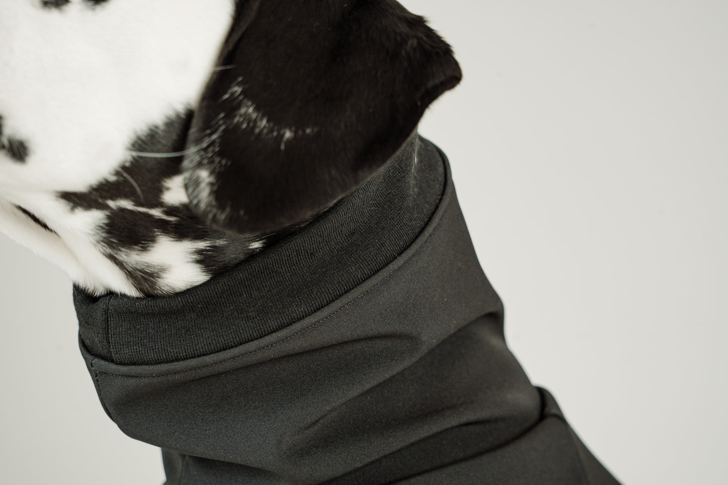 Manteau de printemps en softshell noir