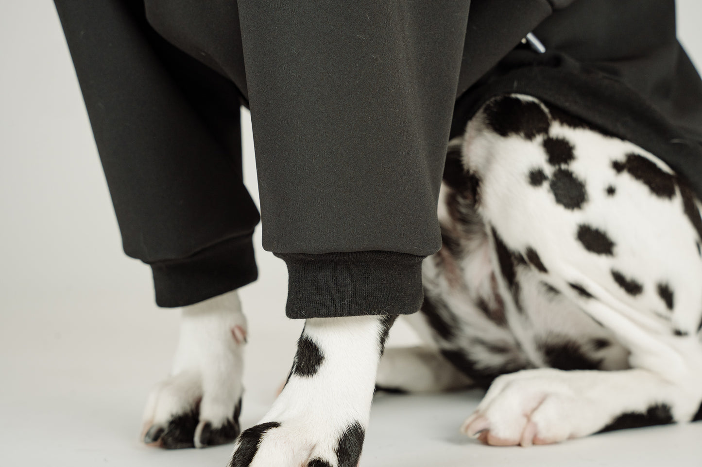 Manteau de printemps en softshell noir