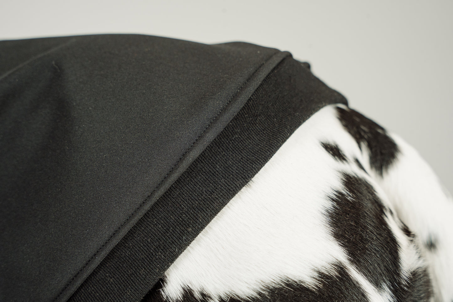 Manteau de printemps en softshell noir