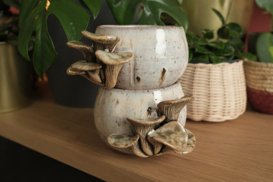 Pumpkin mushroom ceramic mug