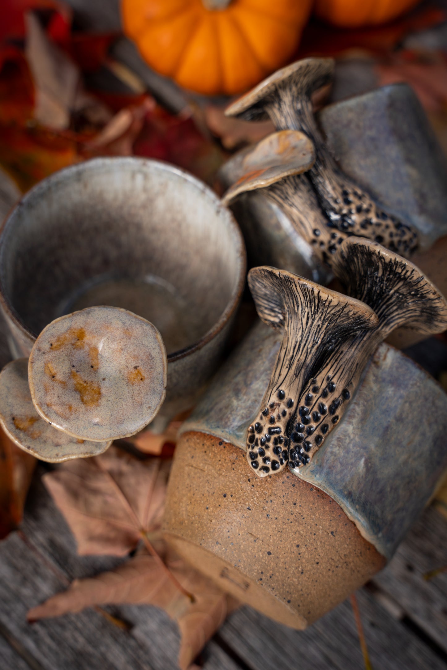 Mushroom cups 10oz