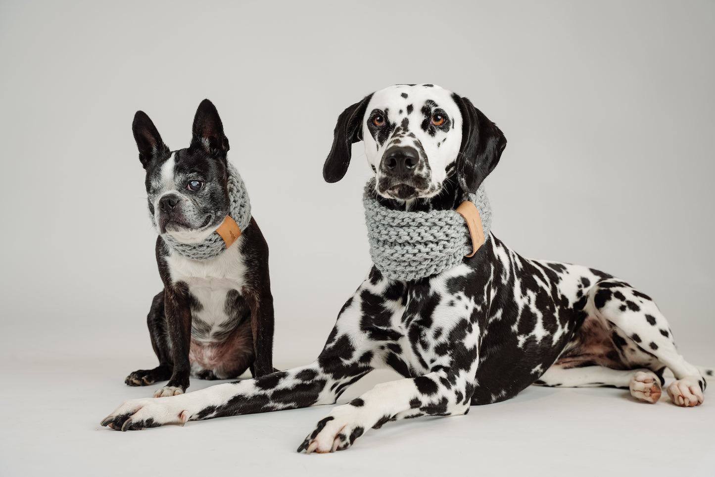 Snood en tricot pour chien