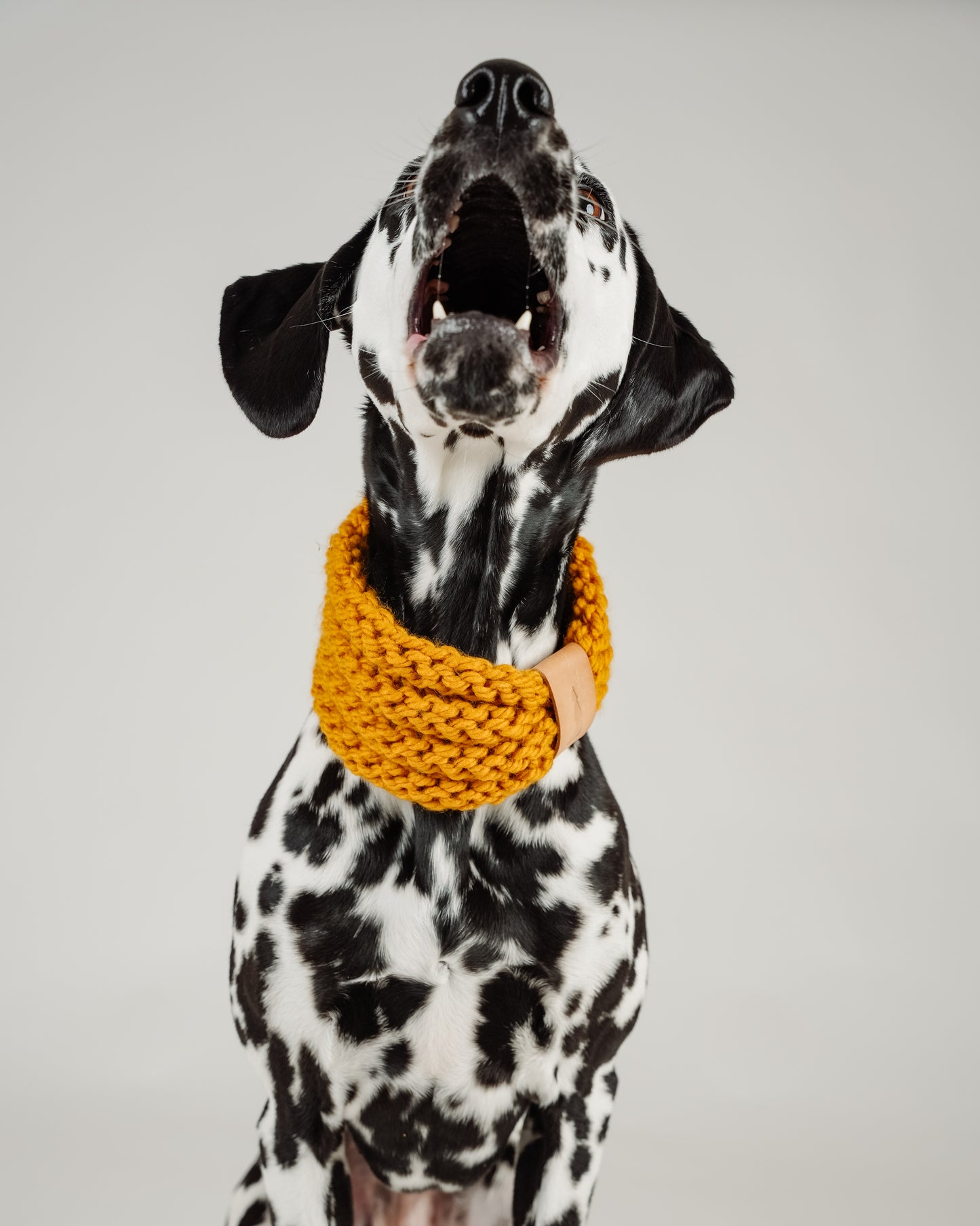 Knitted snood for dogs