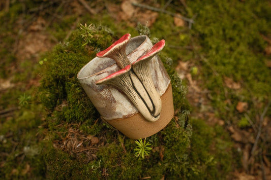 Mushroom cups 15oz