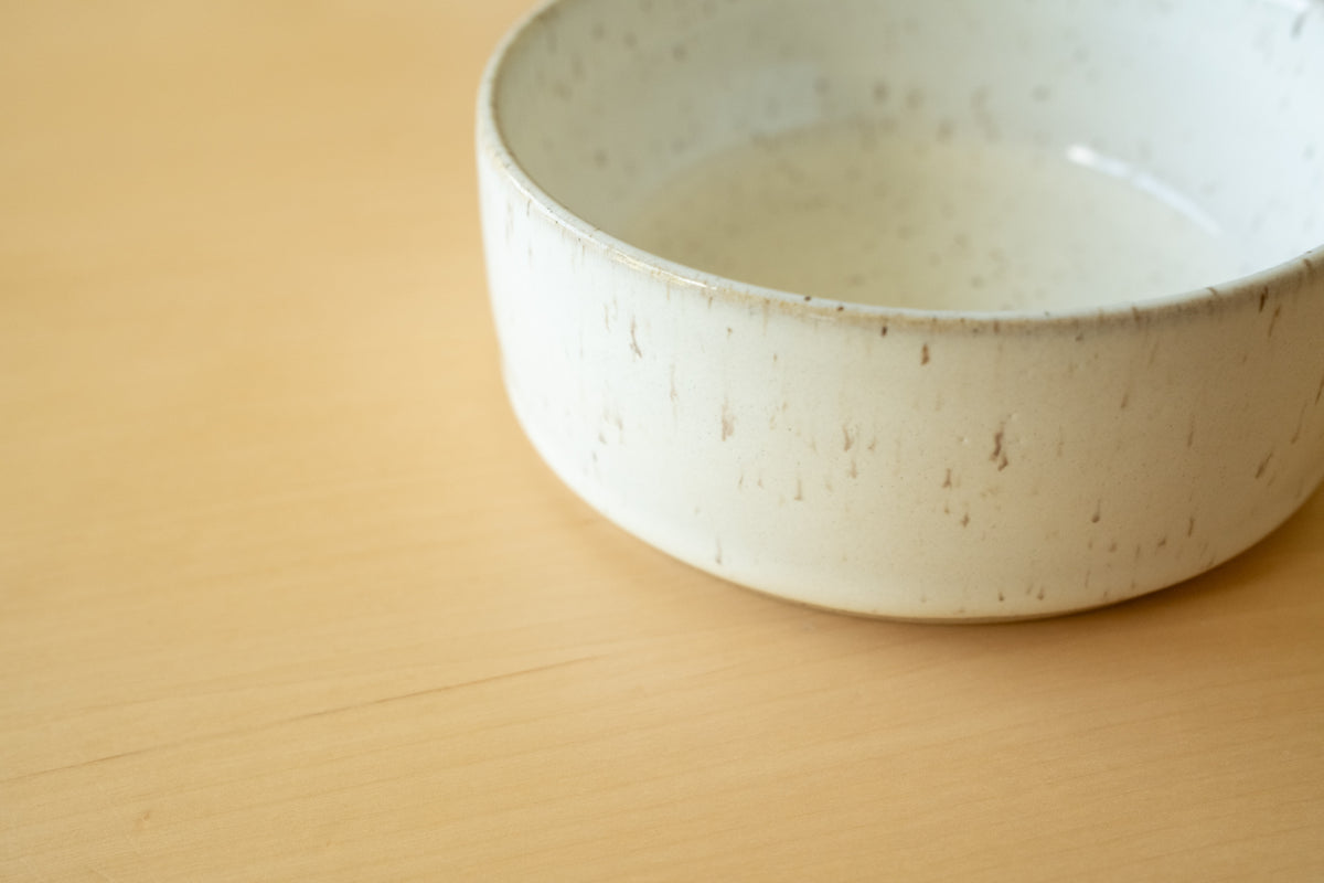 Ceramic bowl for animals