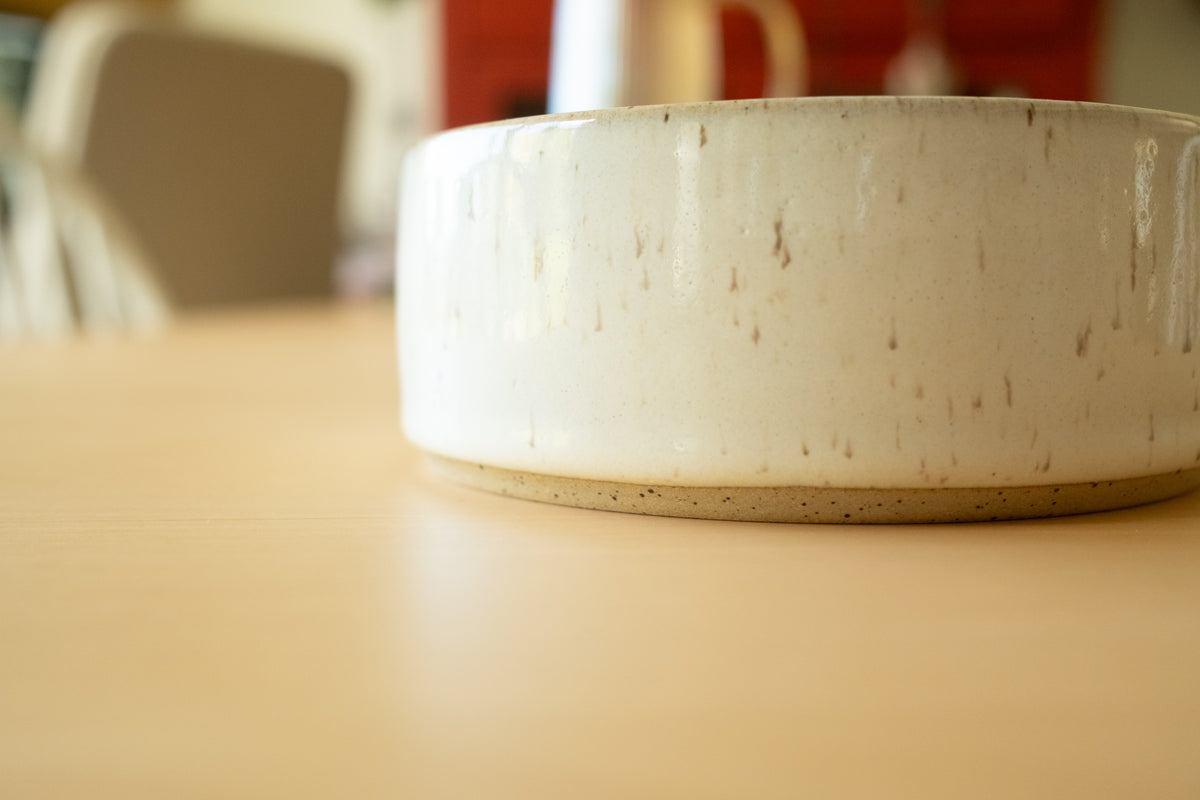 Ceramic bowl for animals