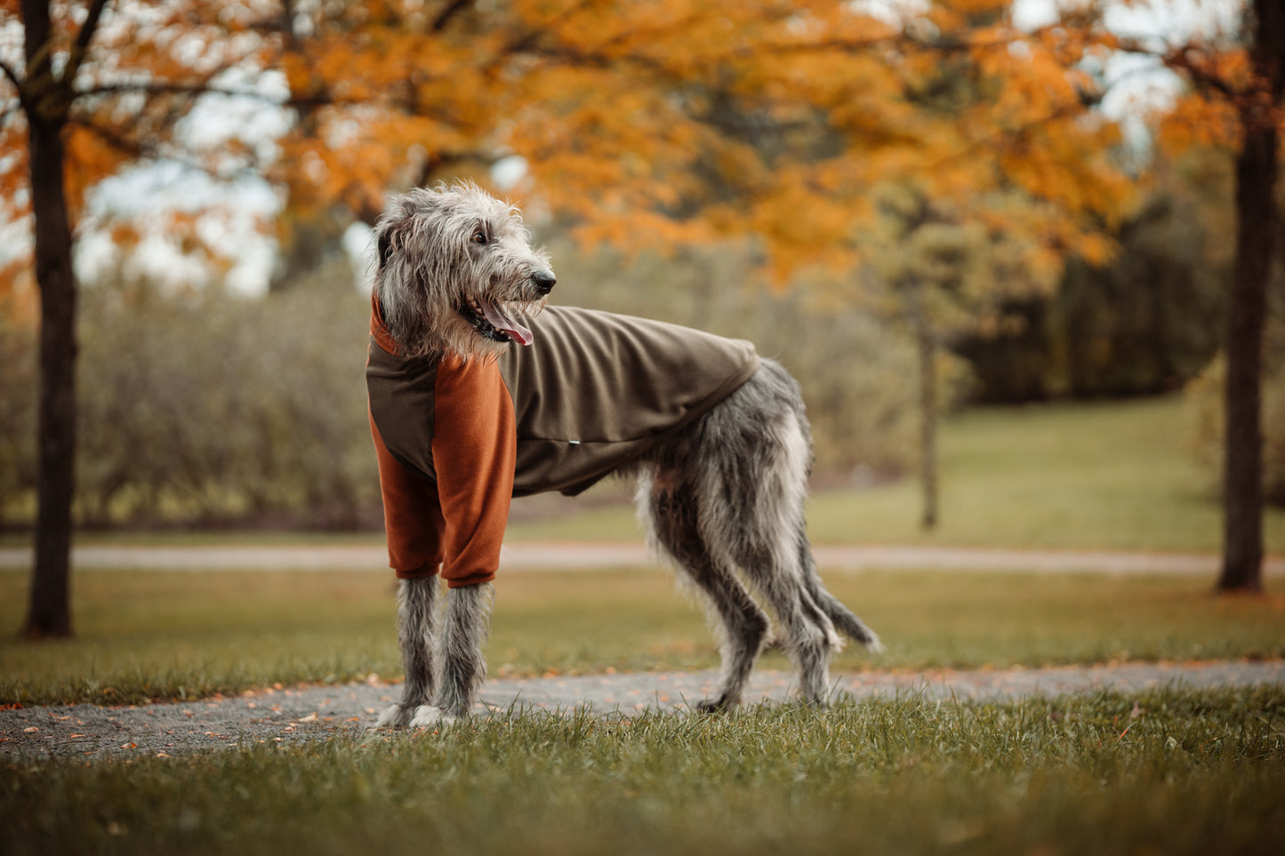 Made to measure sweater fleece for cats or dogs.