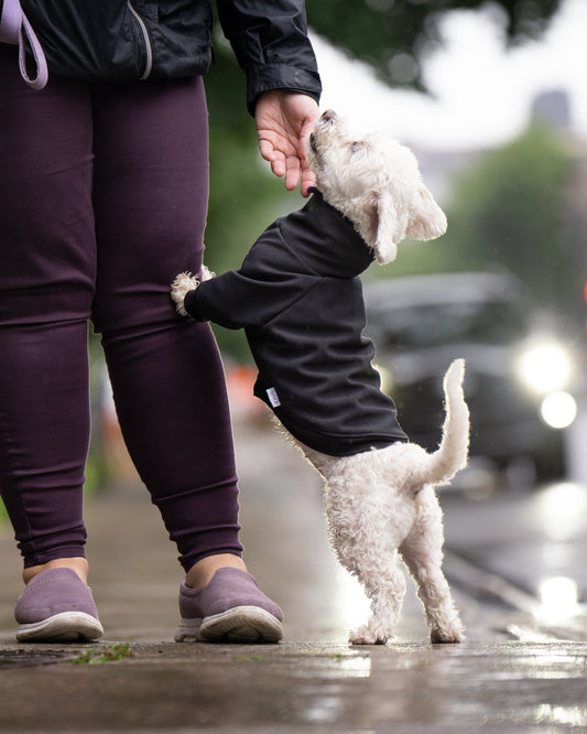 Spring coat in soft shell